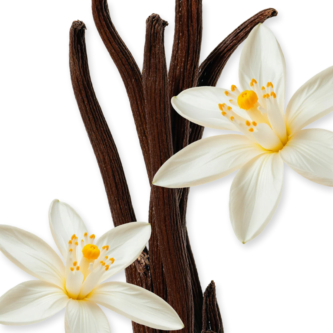 PARFUMS de MARLY Althair