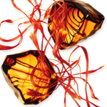 PARFUMS de MARLY Godolphin