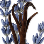 PARFUMS de MARLY Layton Exclusif