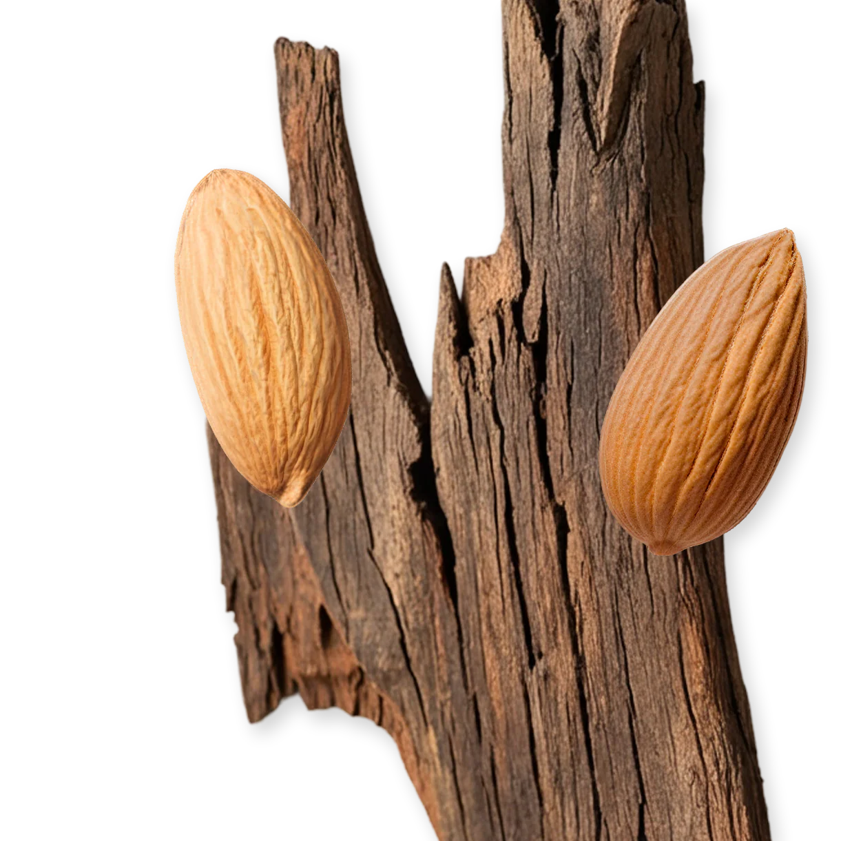 PARFUMS de MARLY Pegasus Exclusif 2020