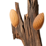 PARFUMS de MARLY Pegasus Exclusif 2020