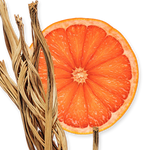 PARFUMS de MARLY Perseus 2024