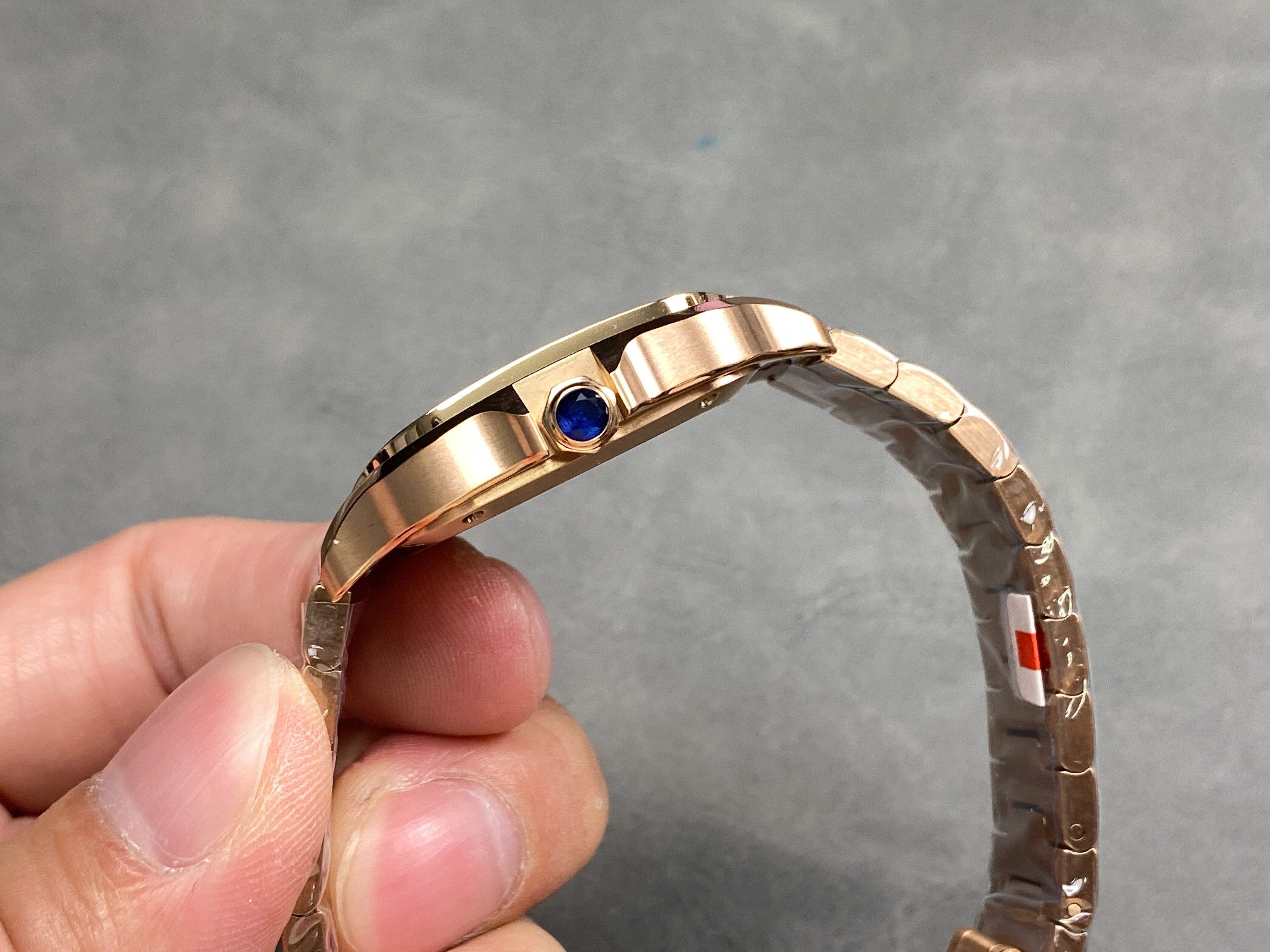 Cartier Santos WGSA0018