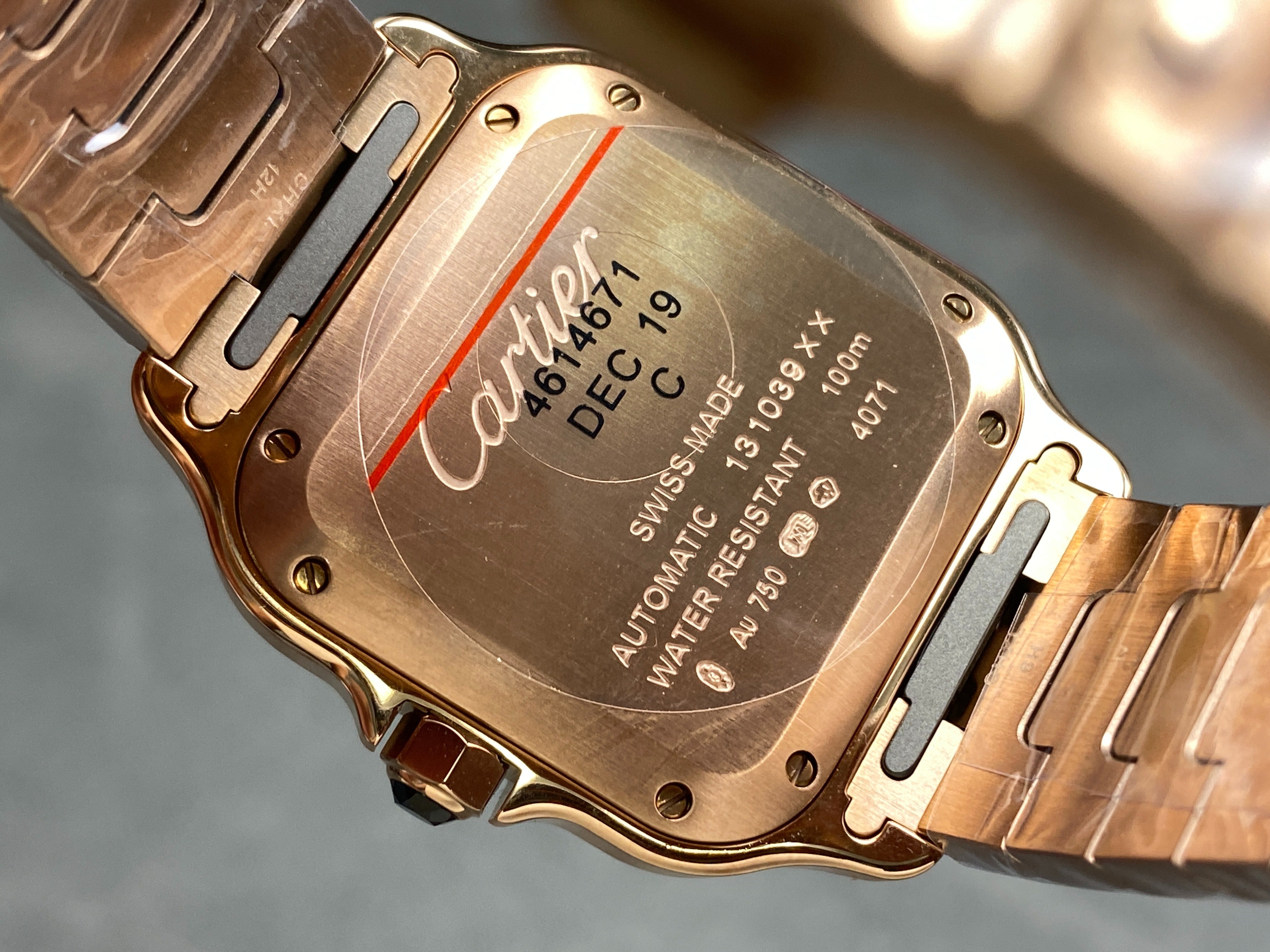 Cartier Santos WGSA0018