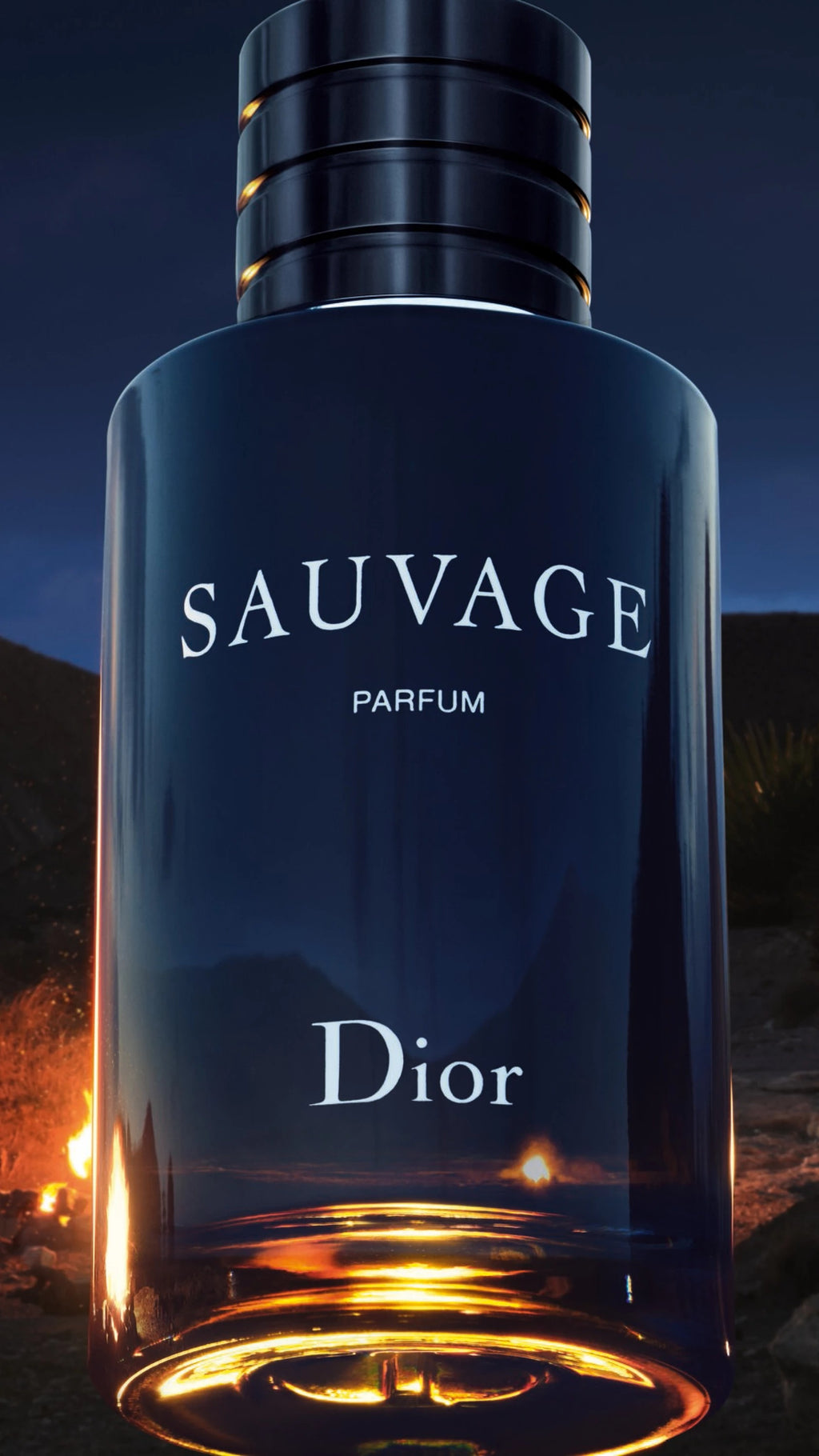 Dior Sauvage Parfum 100ML
