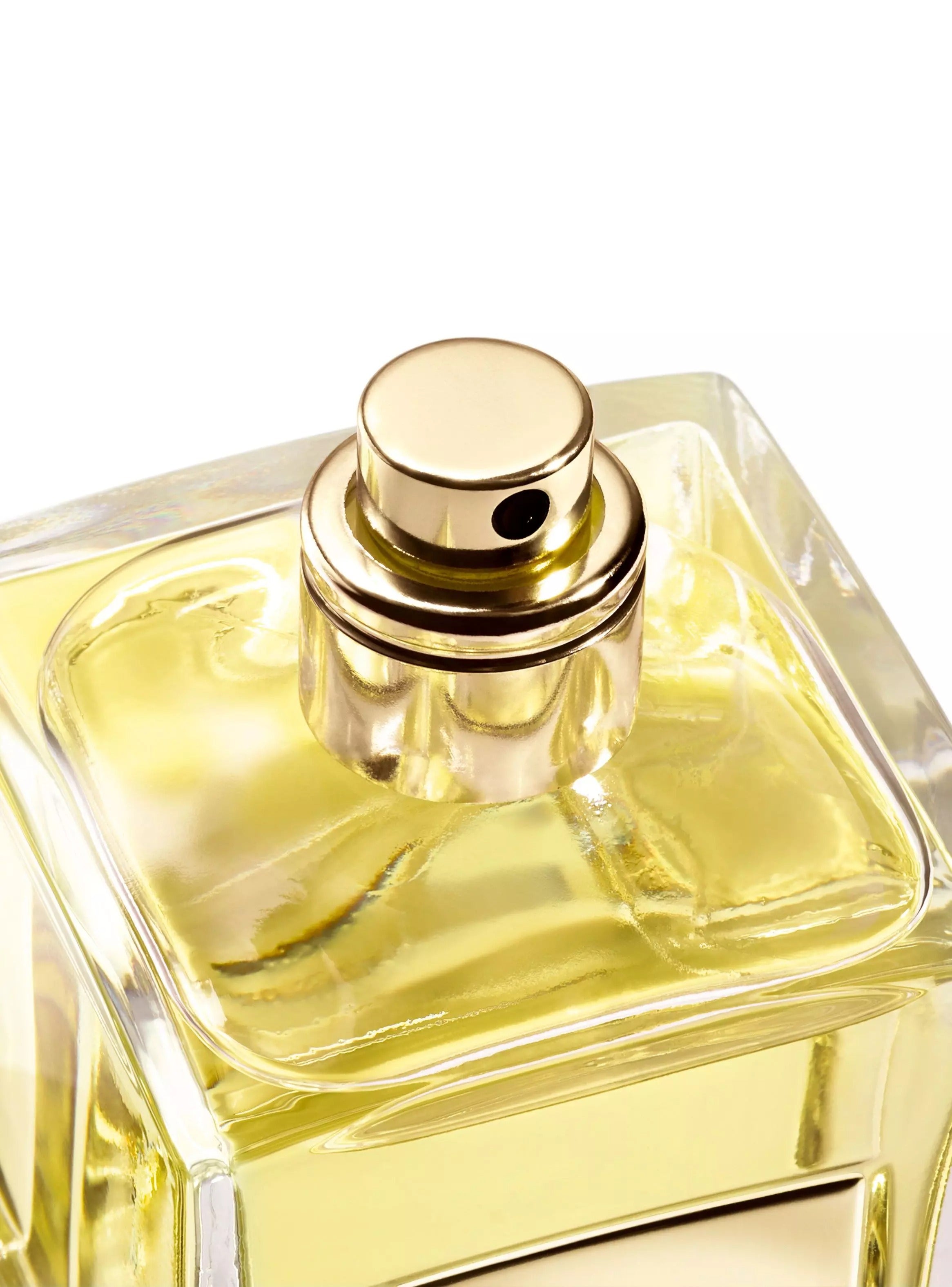 Giorgio Aramani Frive Orangerie Venise