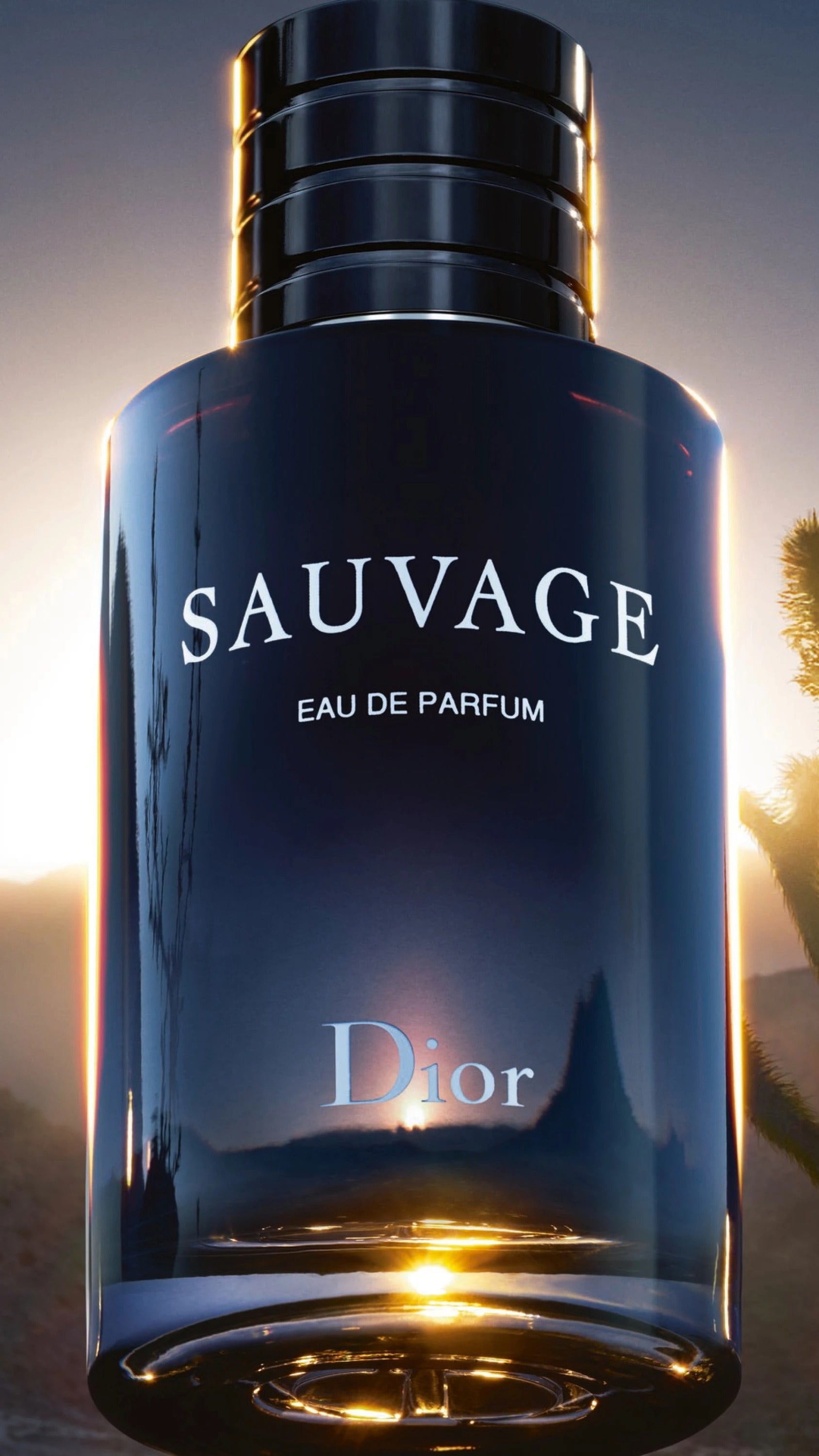 Dior Sauvage EDP -100 ml