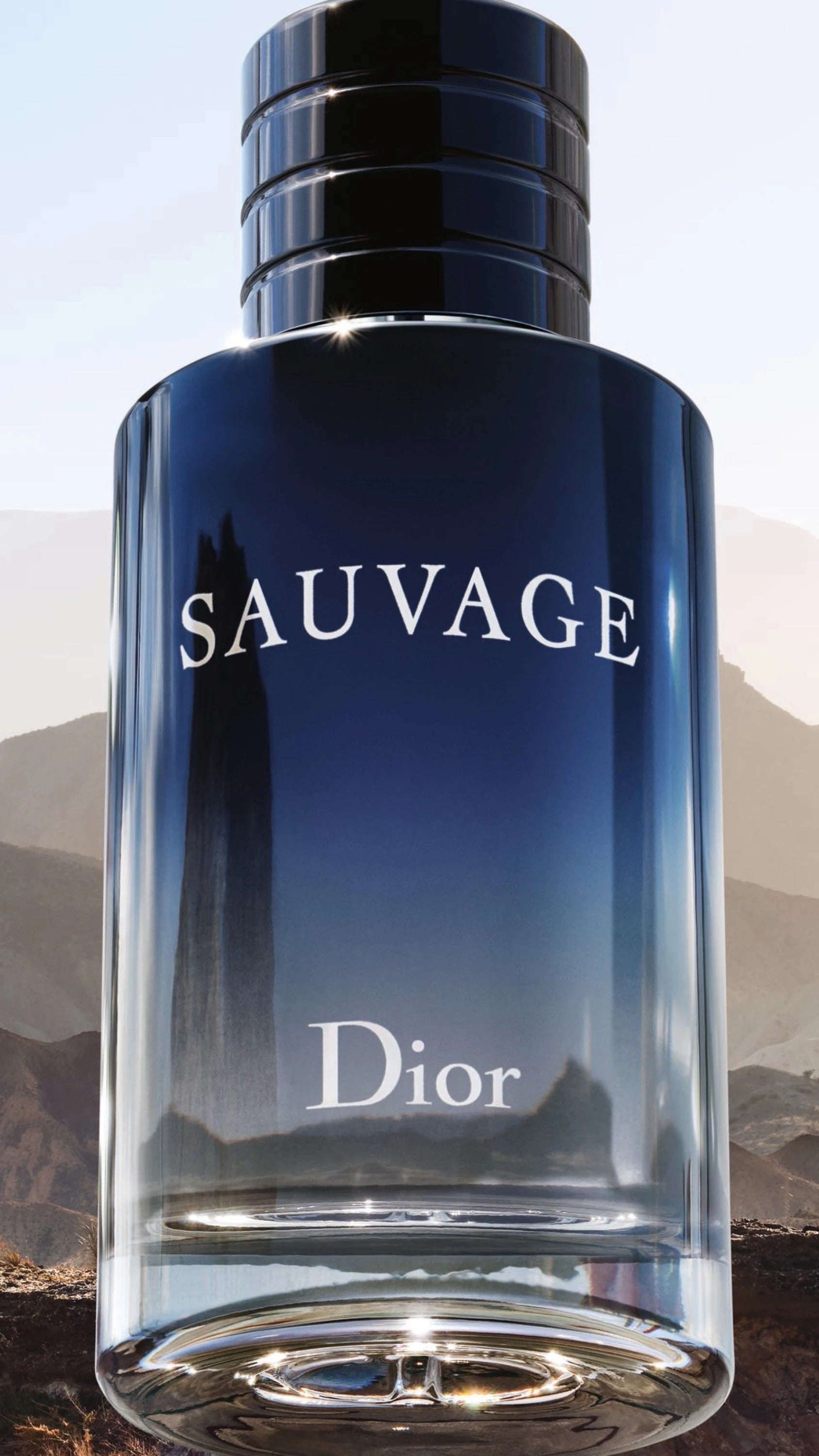 Dior Sauvage Eau de Toilette 100 ML