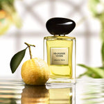 Giorgio Aramani Frive Orangerie Venise