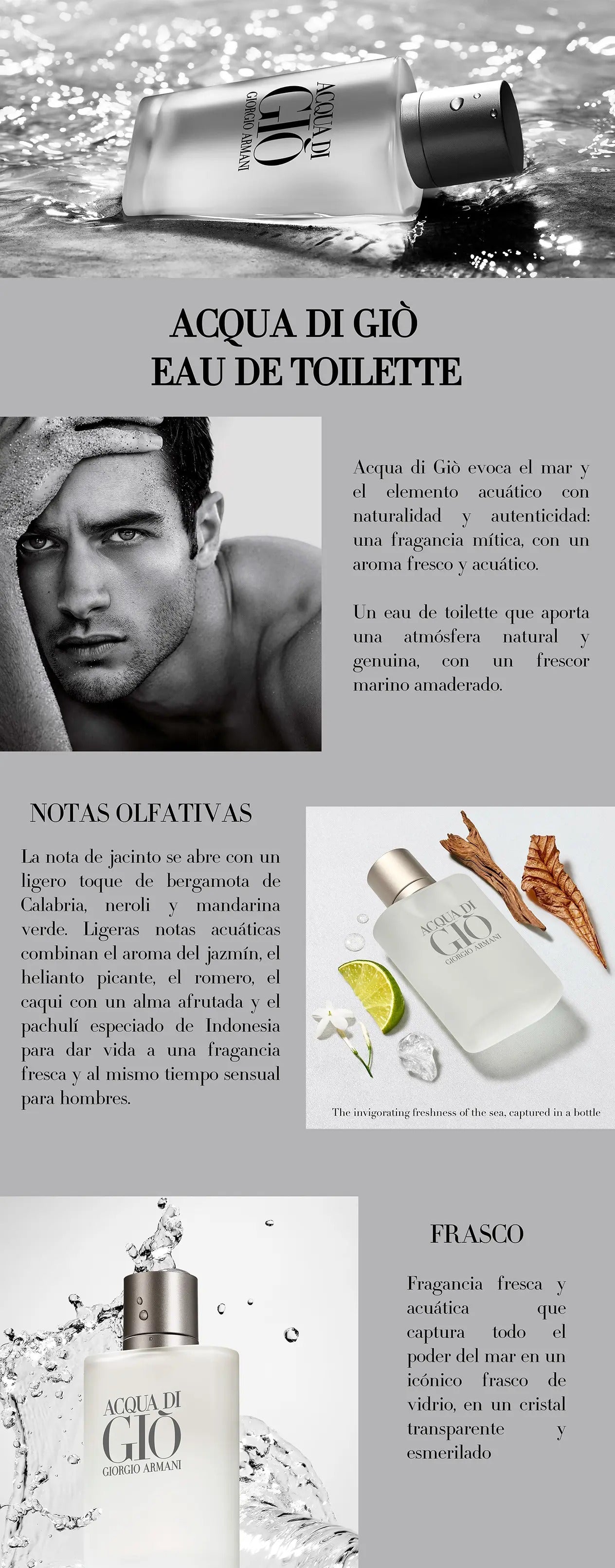 Giorgio Armani Acqua di Gio EDT 100 ml