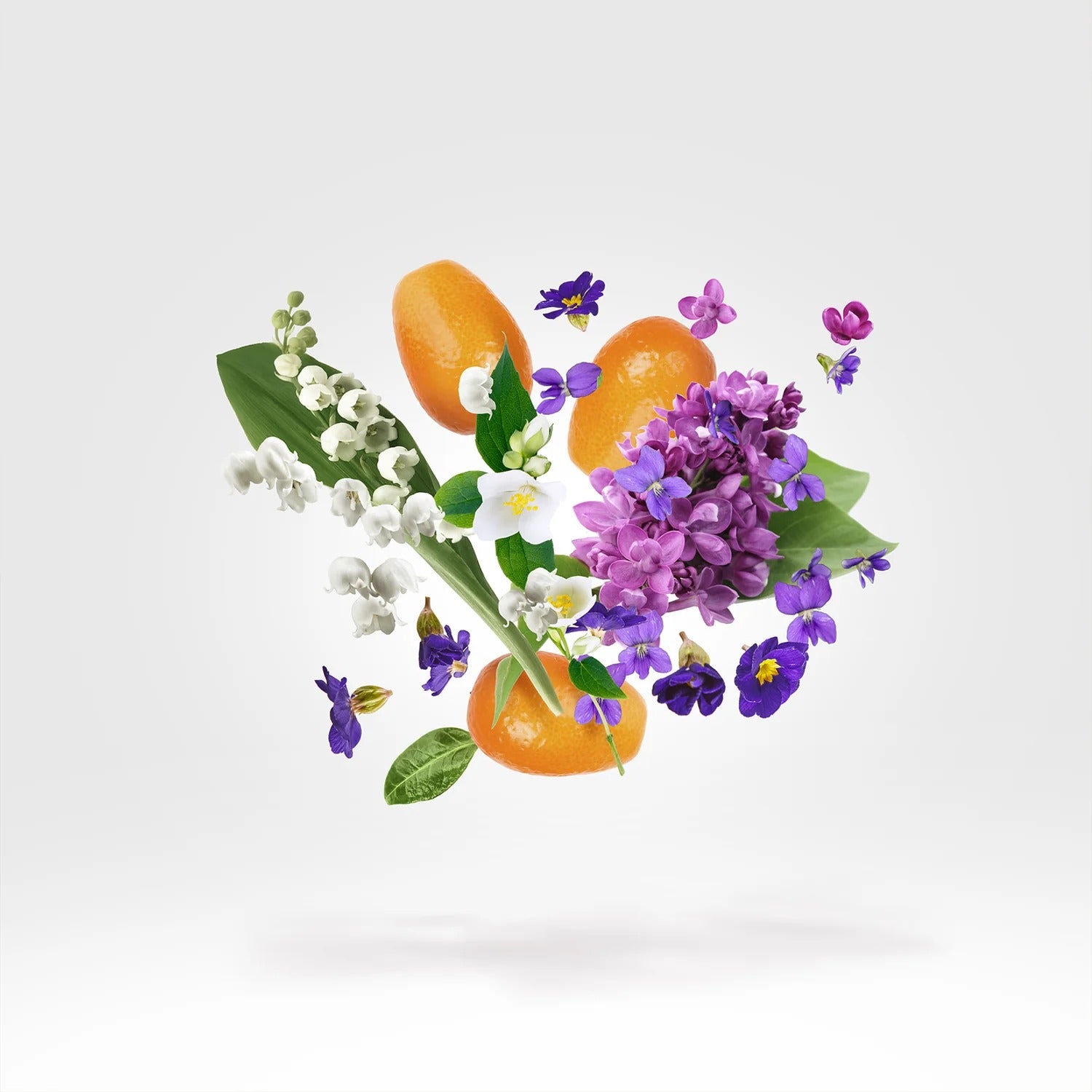 Casamorati Dama Bianca 100ml