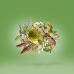 CASAMORATI 1888 FIERO - EDP 100ML