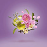 Casamorati  La Tosca