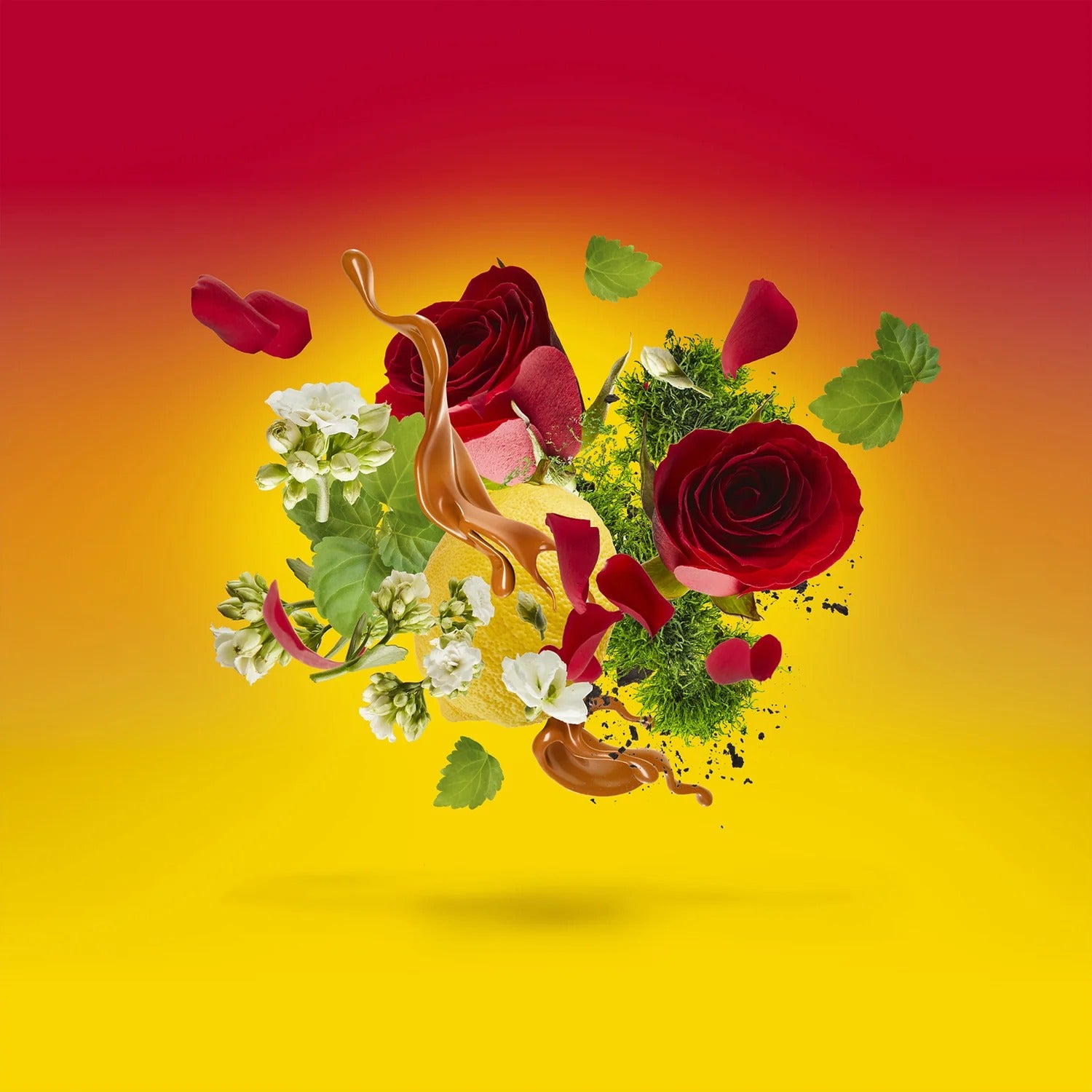 Levar del Sole Xerjoff para Hombres y Mujeres casamorati 100ml