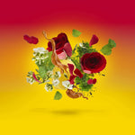 Levar del Sole Xerjoff para Hombres y Mujeres casamorati 100ml