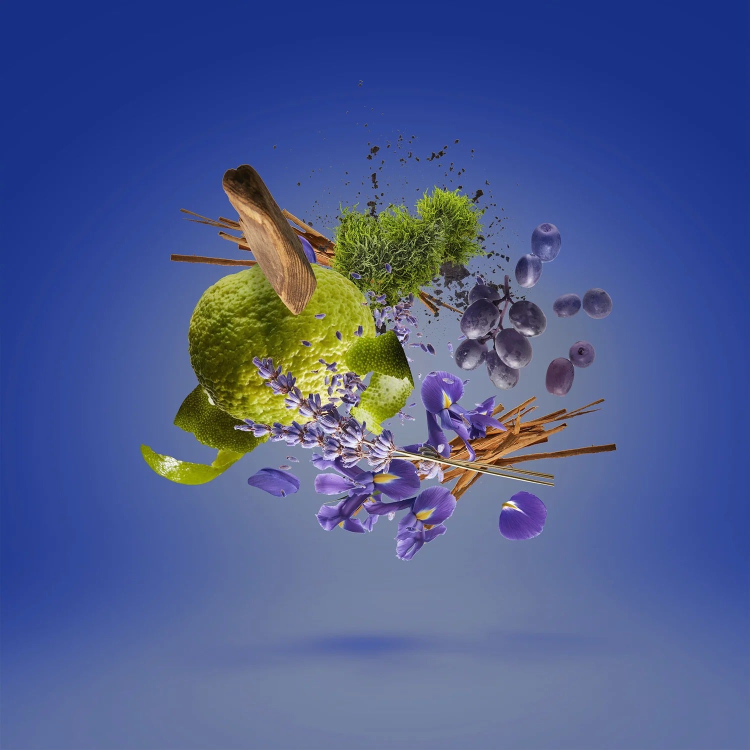 CASAMORATI XJ CASAMORATI 1888 MEFISTO - EDP 100 ML