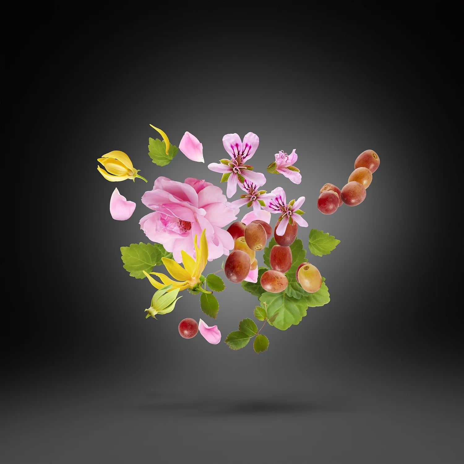 Casamorati Regio Edp 100ml