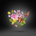 Casamorati Regio Edp 100ml