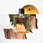 Hermes Terre D' Hermes EDP 100ML