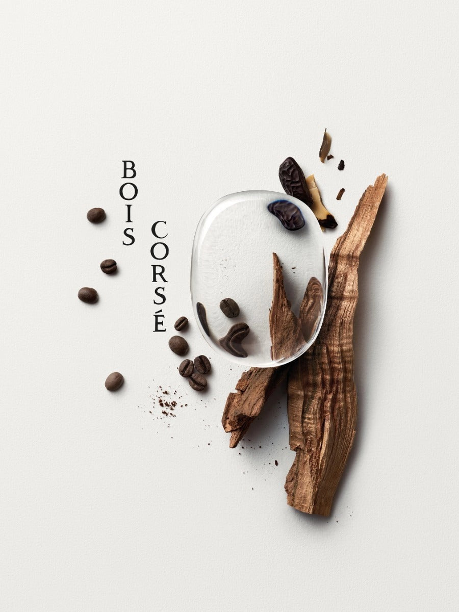 Diptyque Bois Corsé 2024-100ML