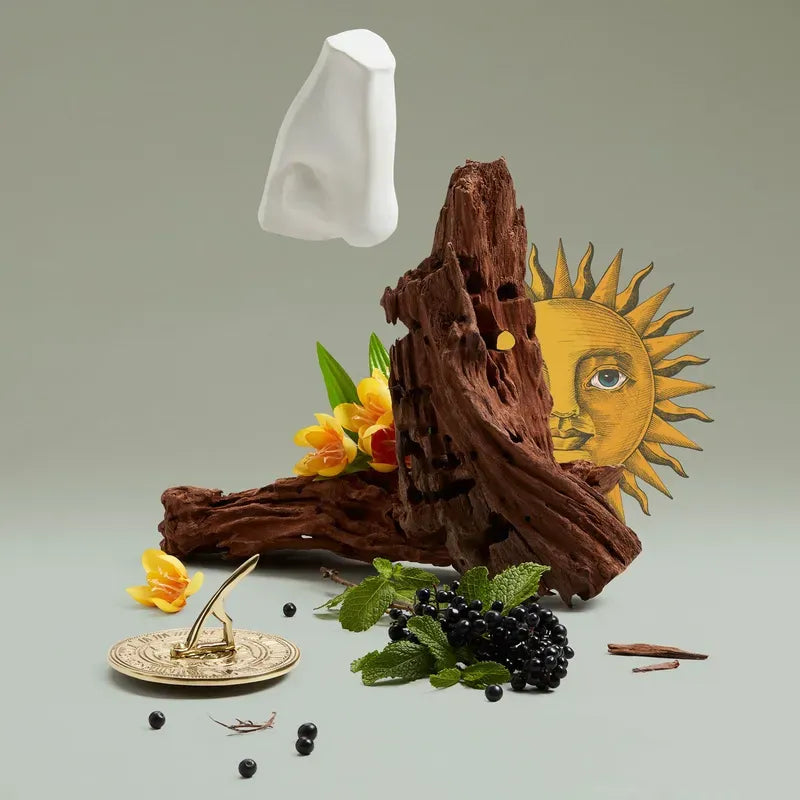 Penhaligon‘s Solaris 2023 -100ML