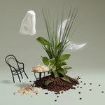 Penhaligon‘s Endymion EDC 100 ML