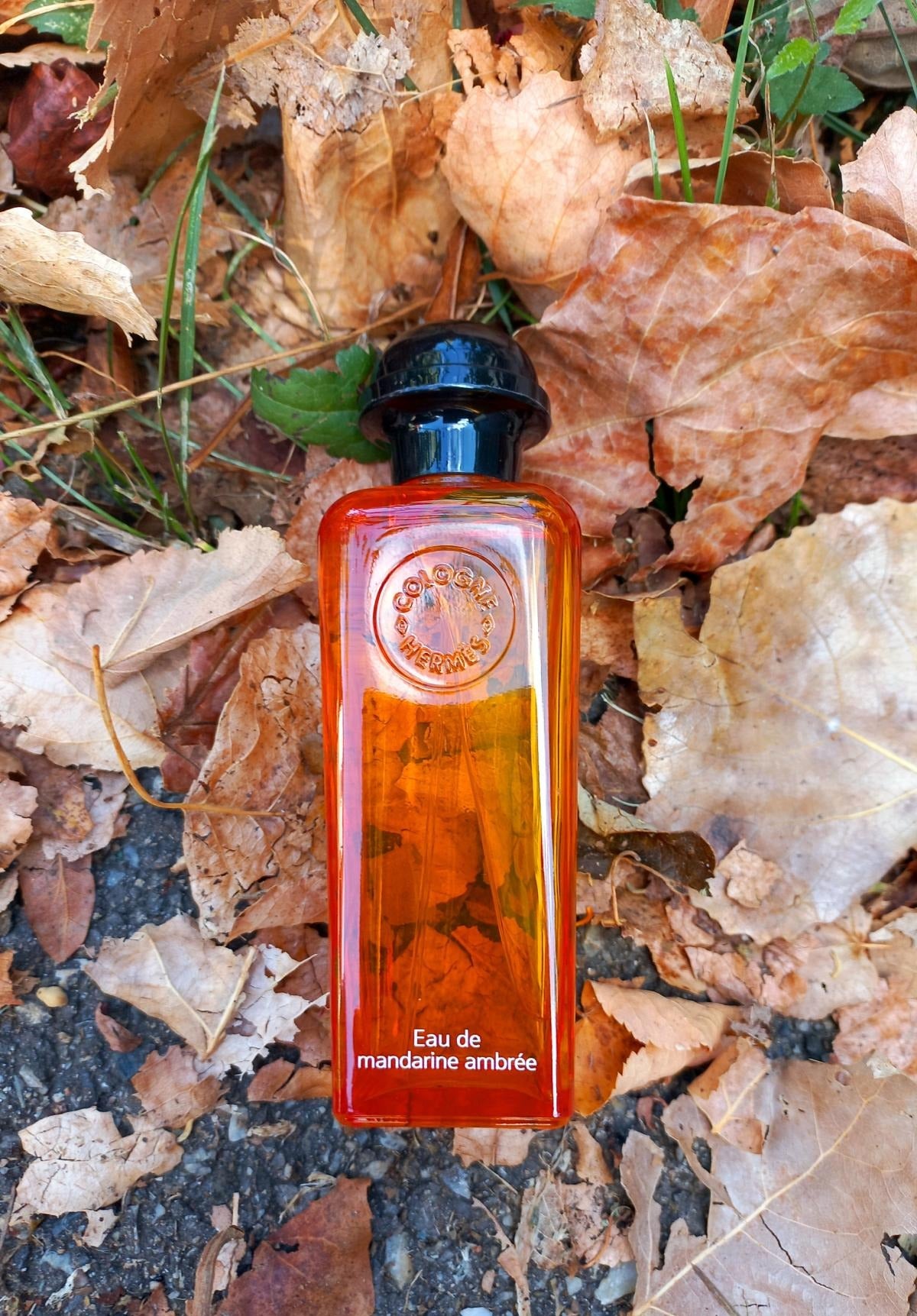 Hermes Eau de Mandarine Ambree 100 ML