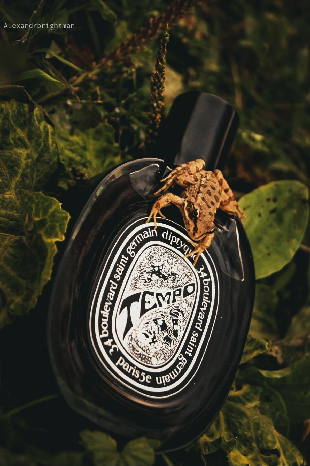 Diptyque Tempo EDP 75ML