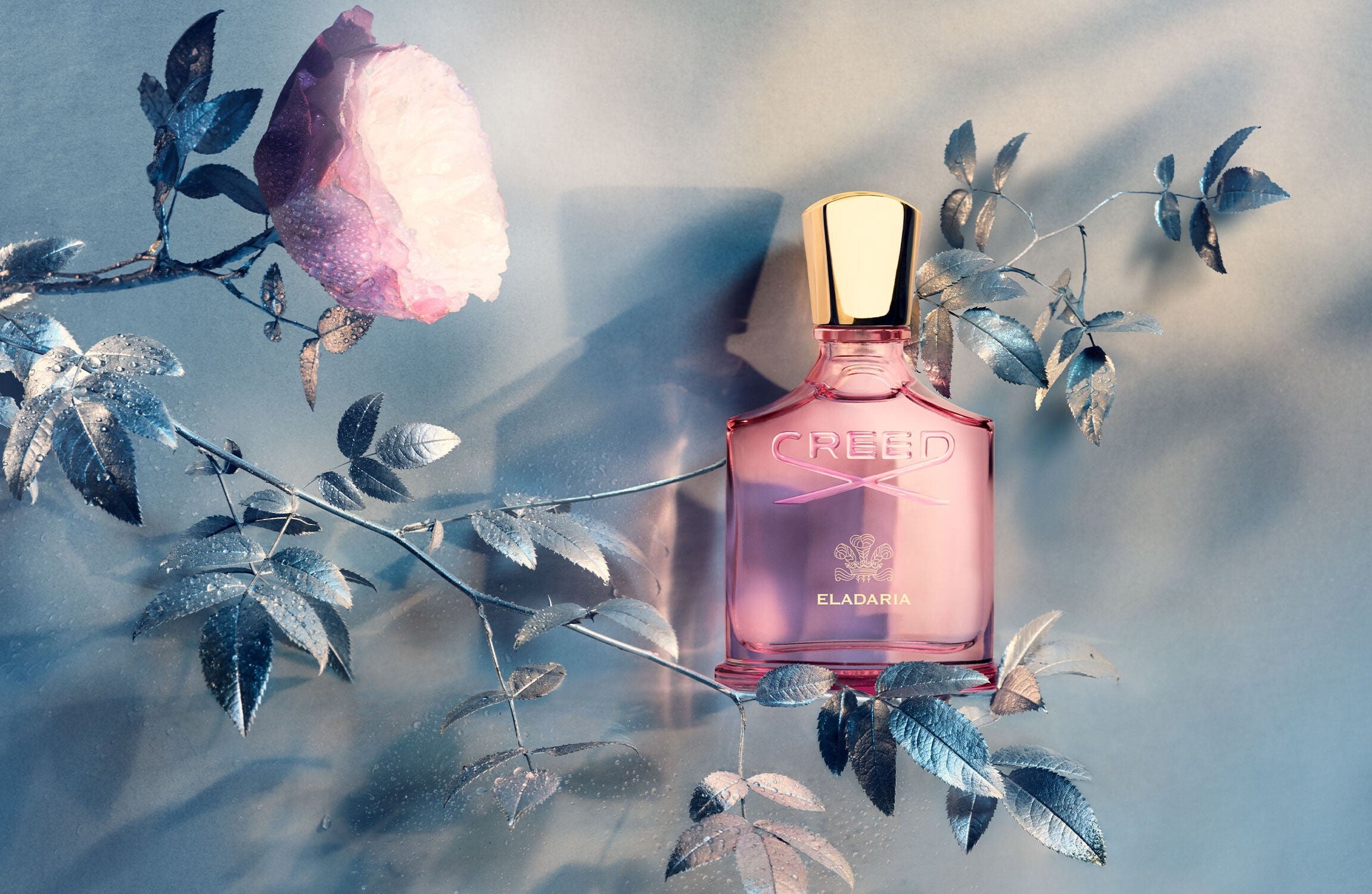 CREED Eladaria 2025 -75 ML