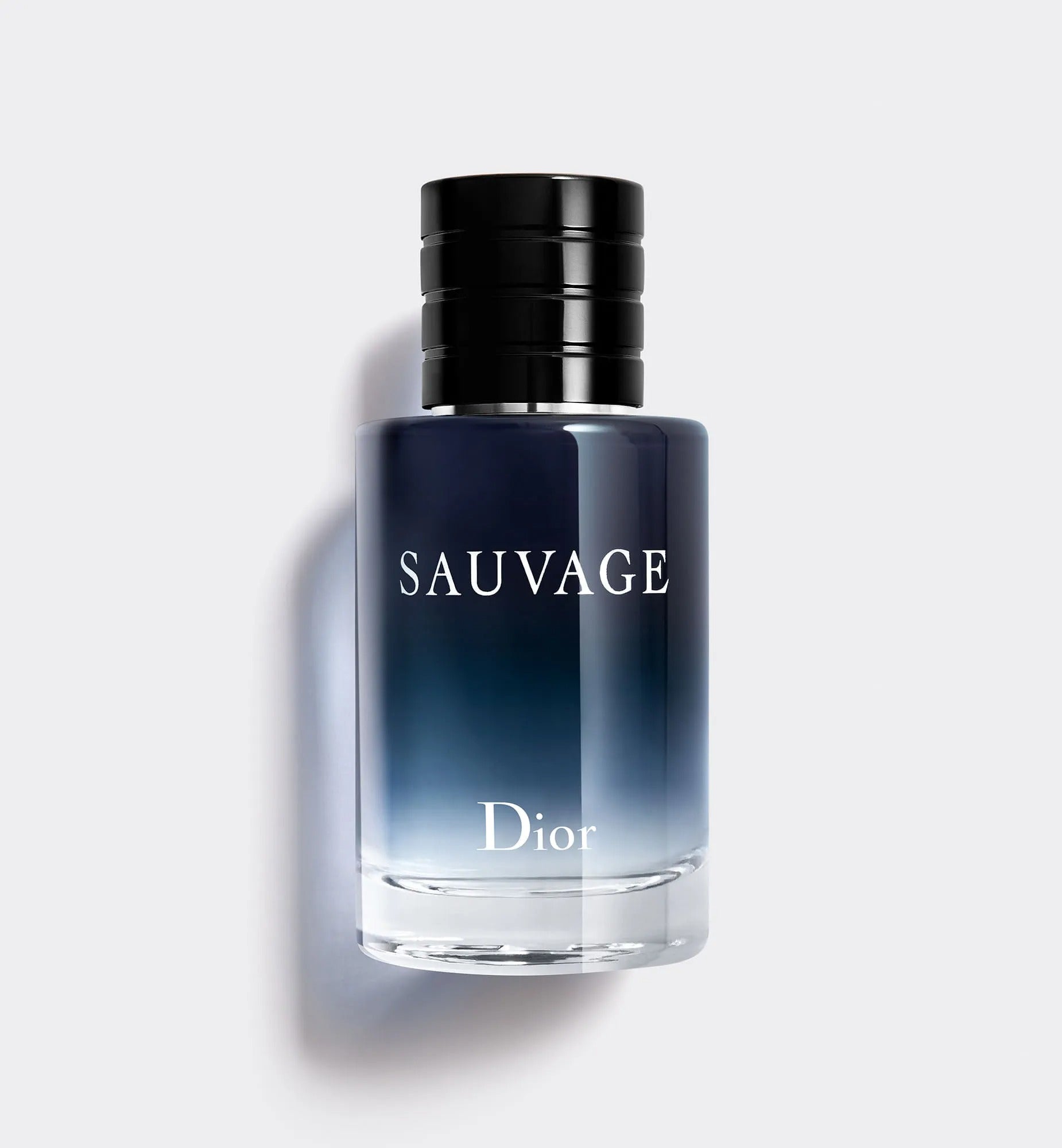 Dior Sauvage Eau de Toilette 100 ML