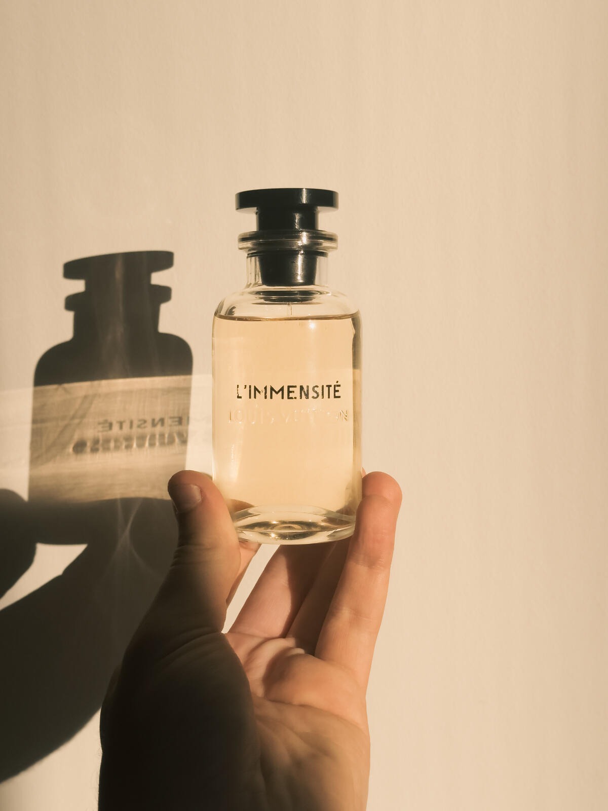 Louis Vuitton Immensity 100 ML