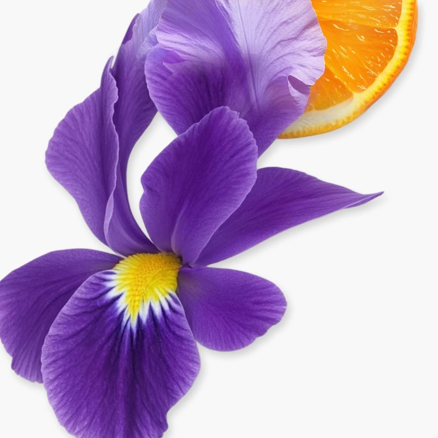 Athalia Parfums De Marly 75ml - Eau De Parfum - Mujer