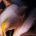 Dior Homme Parfum 100 ml