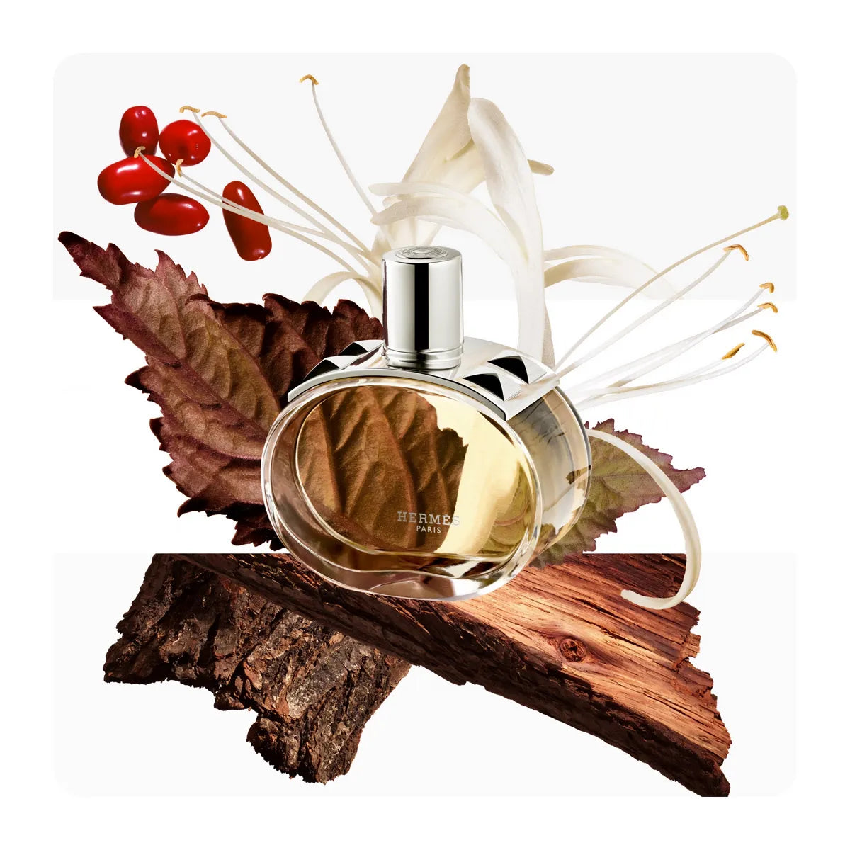Hermes Barénia 2024 -100ML