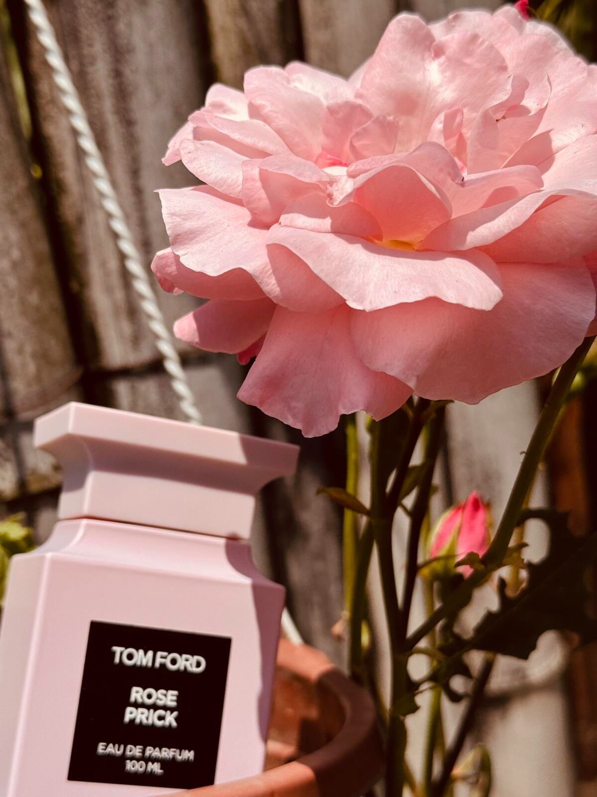 Tom Ford Rose Prick 100 ML