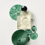 Diptyque Lilyphéa 2024-100 ML