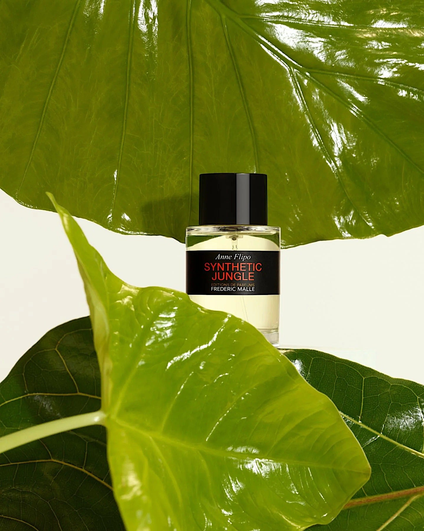 Frederic Malle Synthetic Jungle 2021-100ML