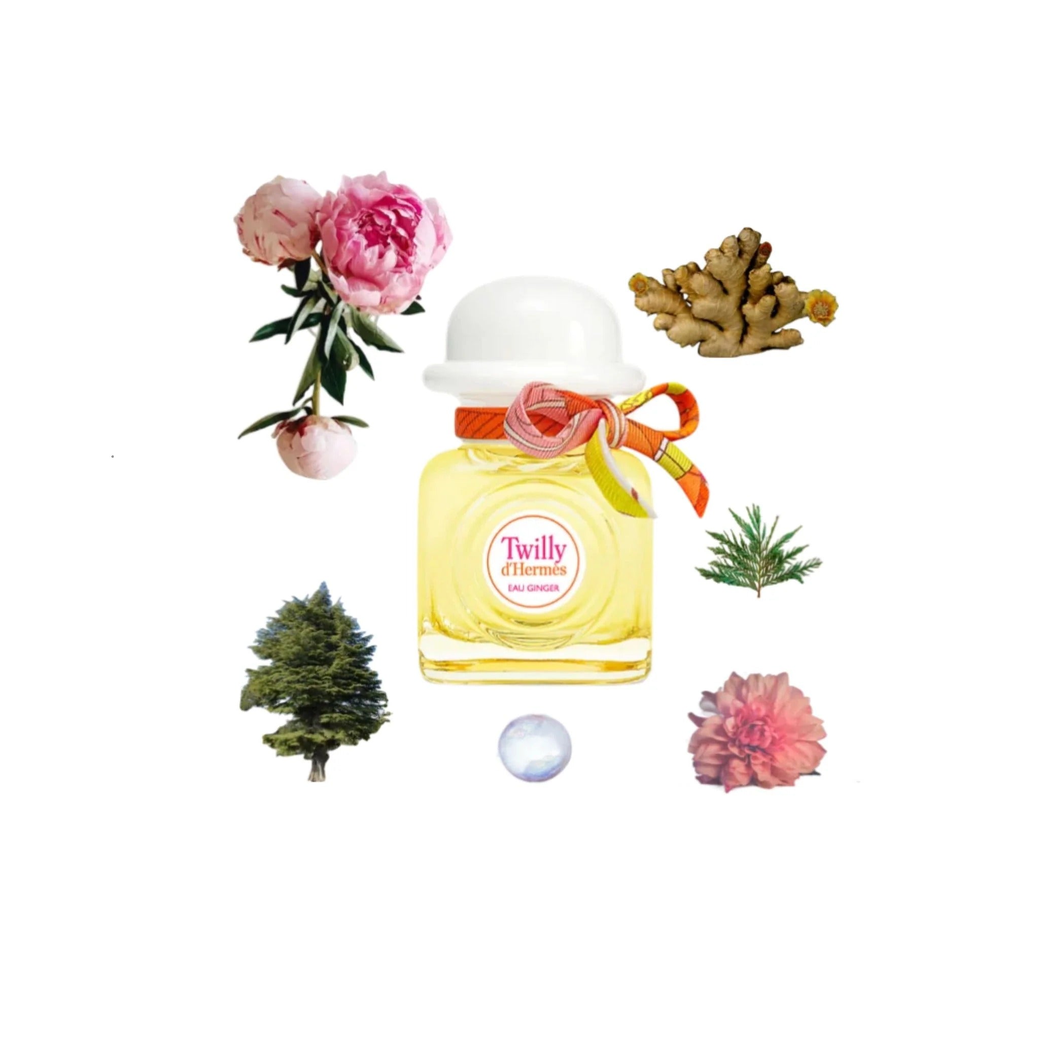 Hermes Twilly d'Hermes Eau Genger 85 ML