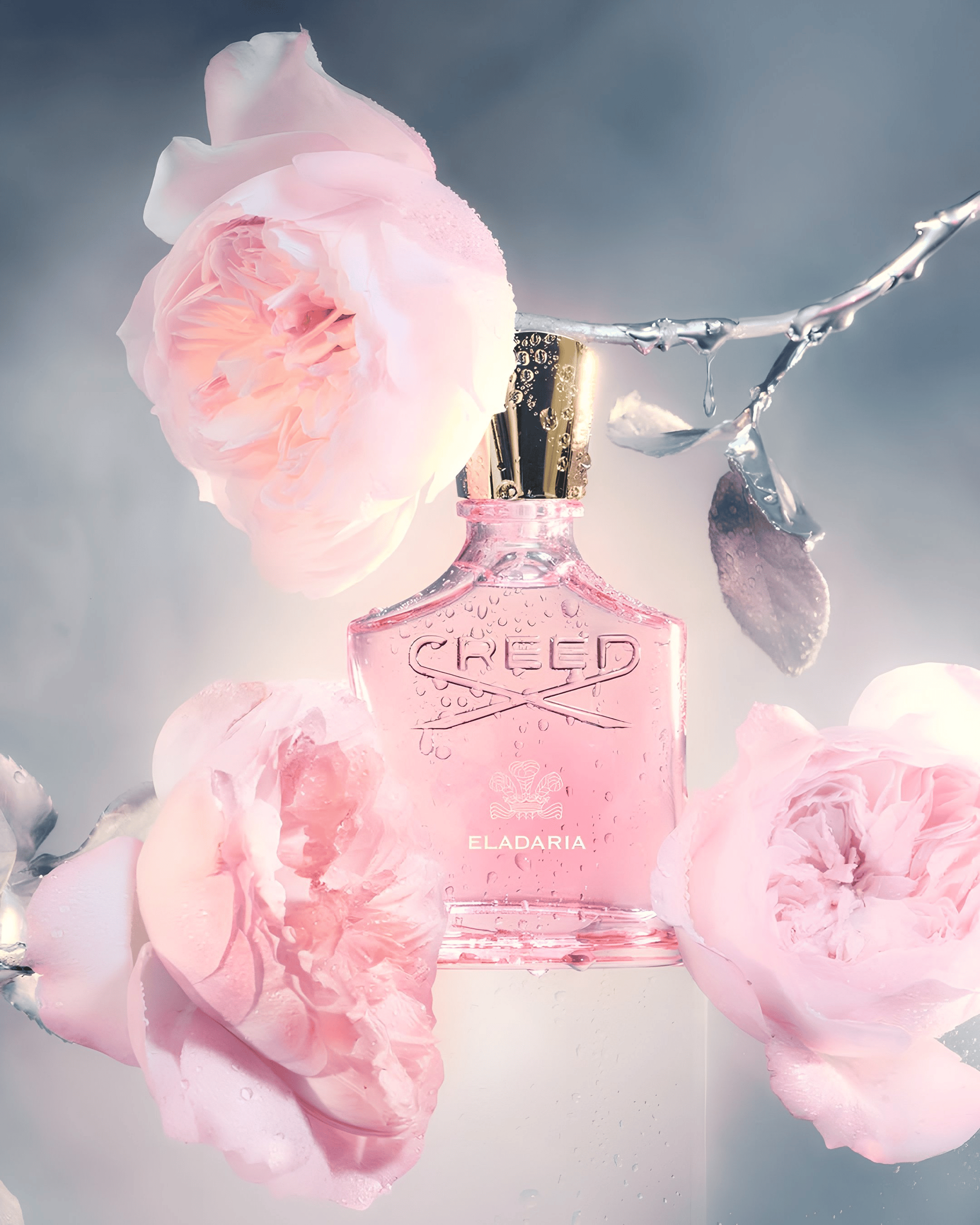 CREED Eladaria 2025 -75 ML
