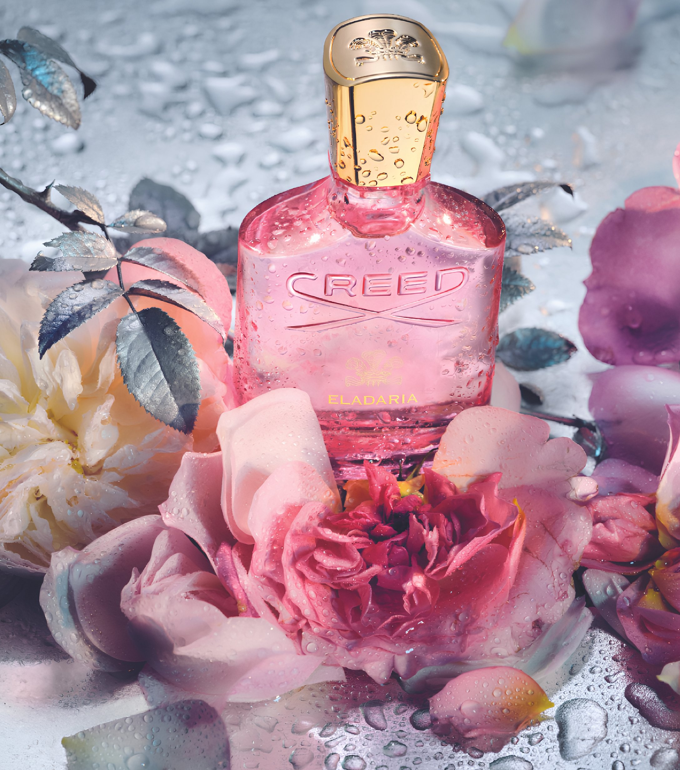 CREED Eladaria 2025 -75 ML