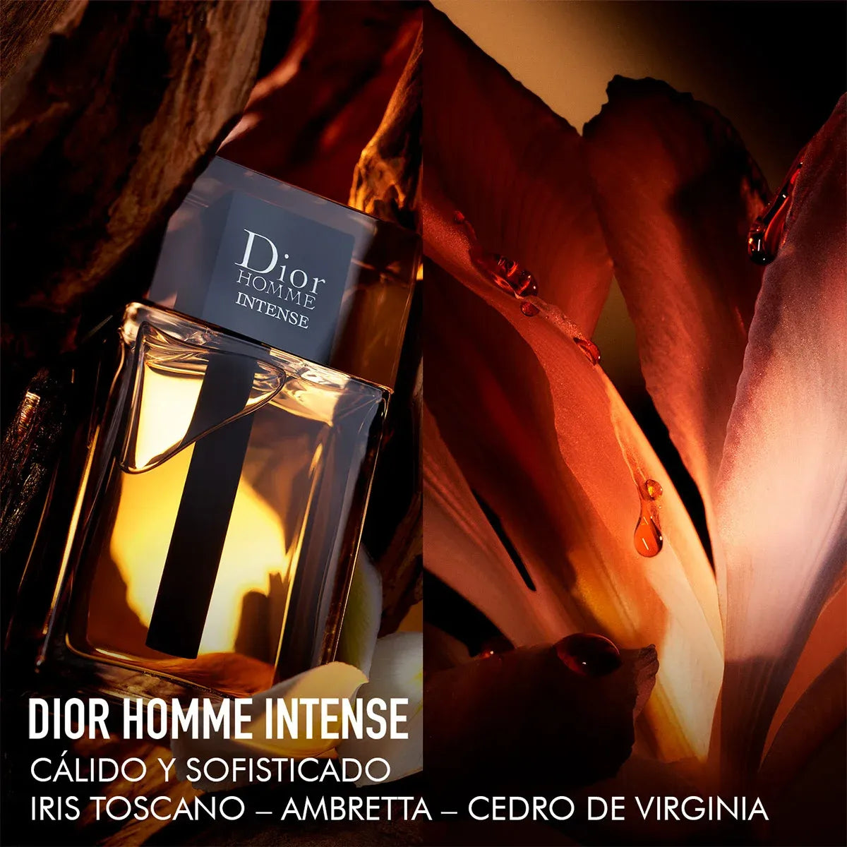 Dior HOMME INTENSE EDP 100 ml