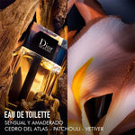 Dior HOMME EDT 2023 -100 ml