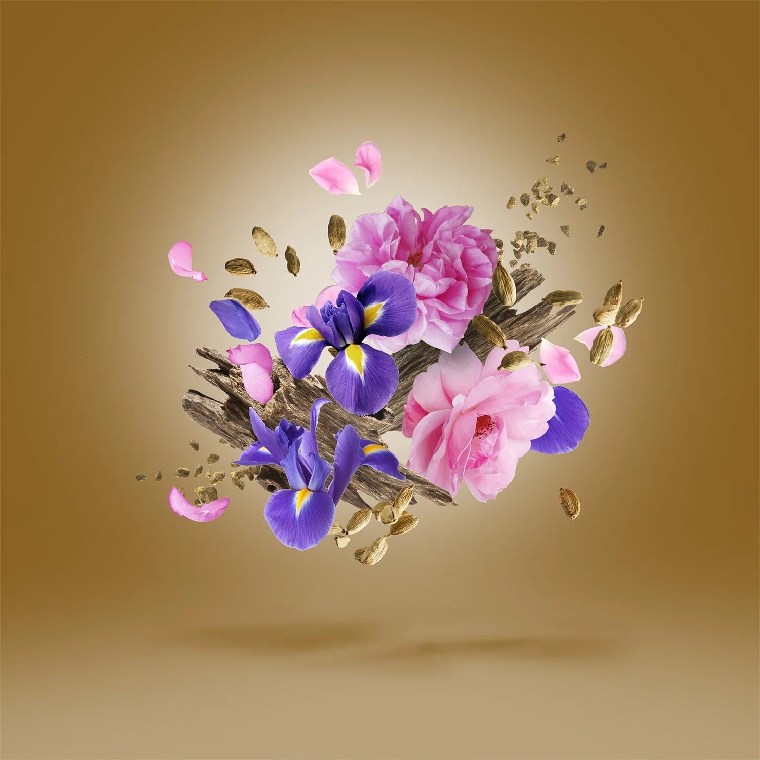 Xerjoff Alexandria ll Anniversary 2024