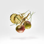 Xerjoff Cruz del Sur II (2017)