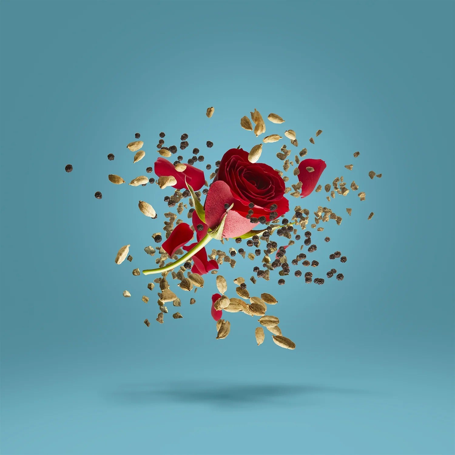 Xerjoff Groove Xcape