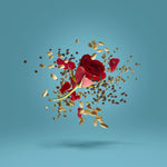 Xerjoff Groove Xcape